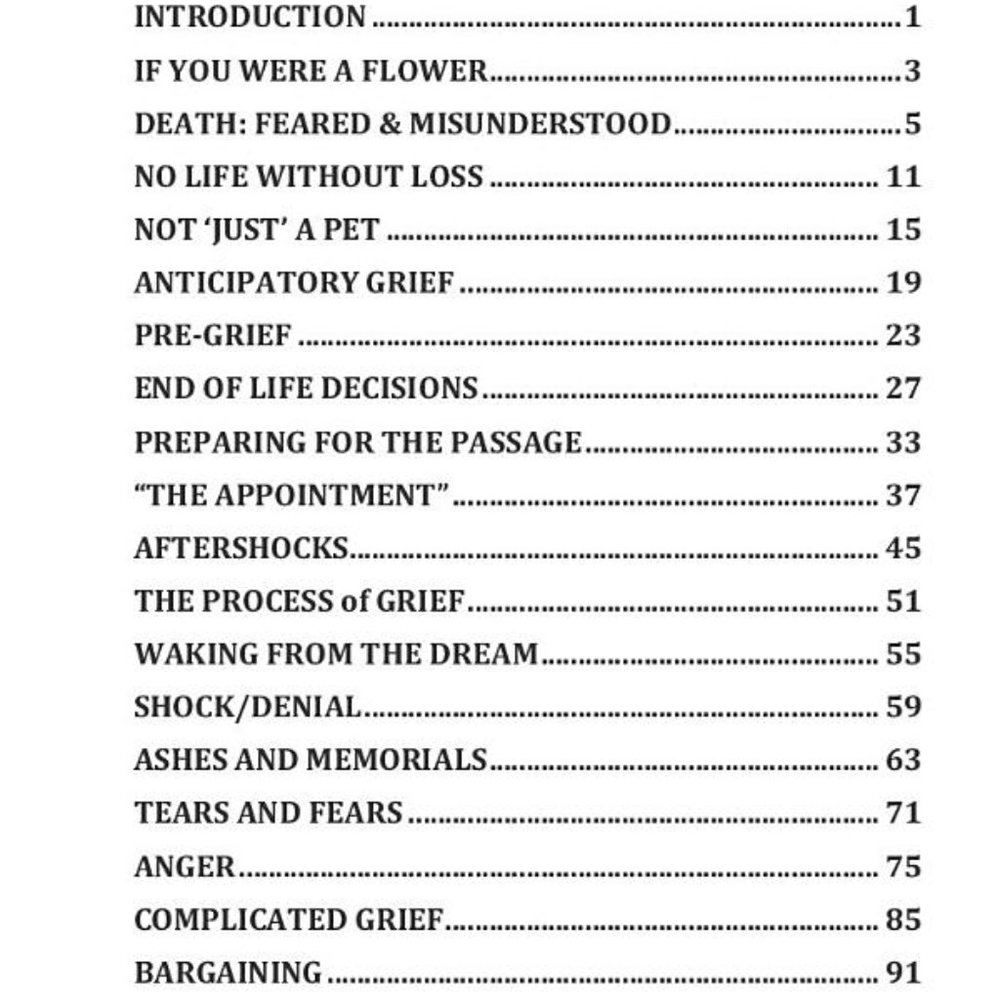 Only Gone From Your Sight: Jack McAfghan's Little Guide to Pet Loss and Grief - Picture 5 of 6